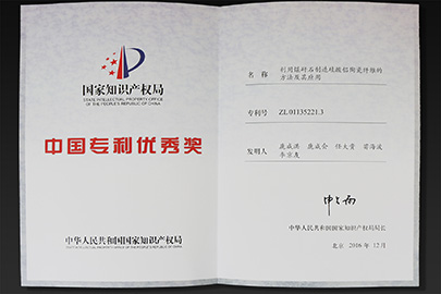 中國專利優(yōu)秀獎(jiǎng)